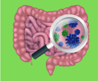 Gut Health: What's Your Gut's Reaction?
