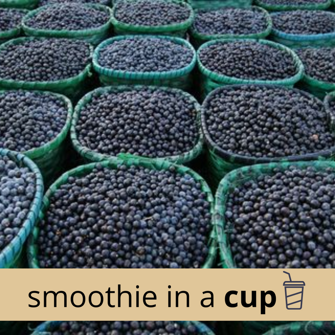 Açaí Berry Classic Smoothie -- Cup
